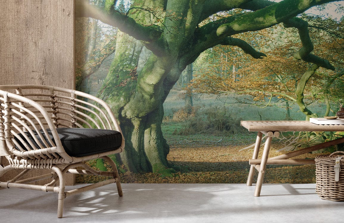 Majestic Oak Forest Mural in autumn tones, featuring rattan chair, rustic bench, concrete flooring.