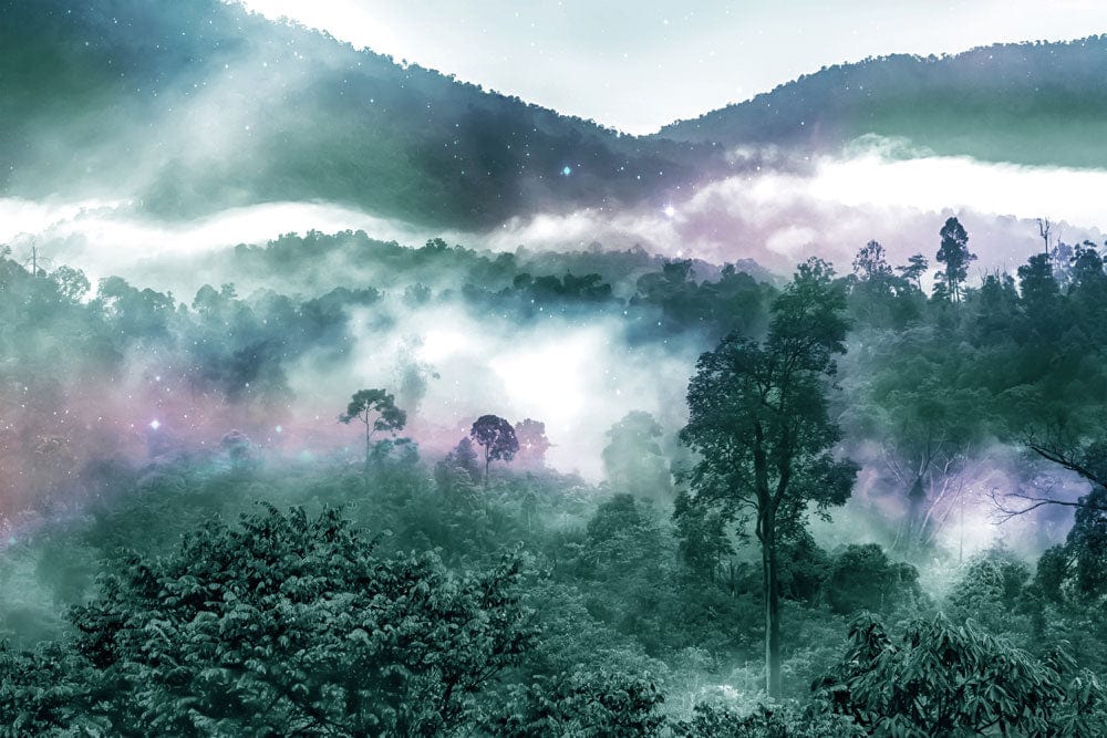 Mystical Forest Mist Scenic Mural Wallpaper in Enchanted Green Hues
