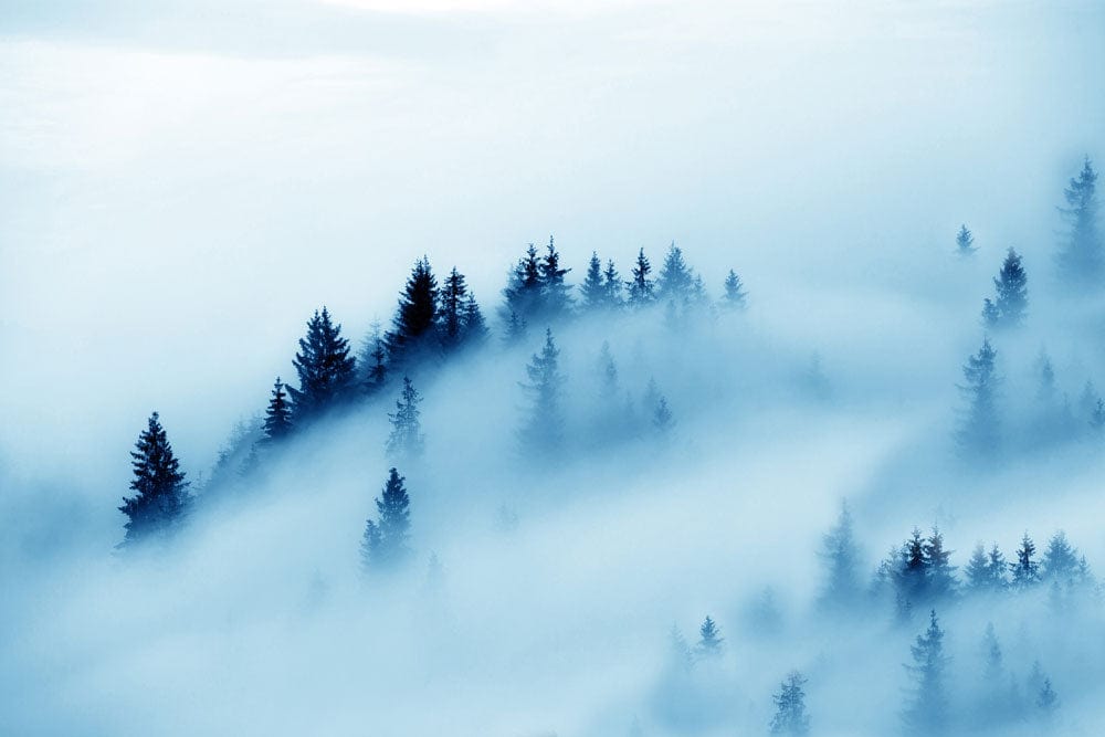 Serene Misty Forest Landscape Mural Wallpaper - Tranquil Blue Tones Décor