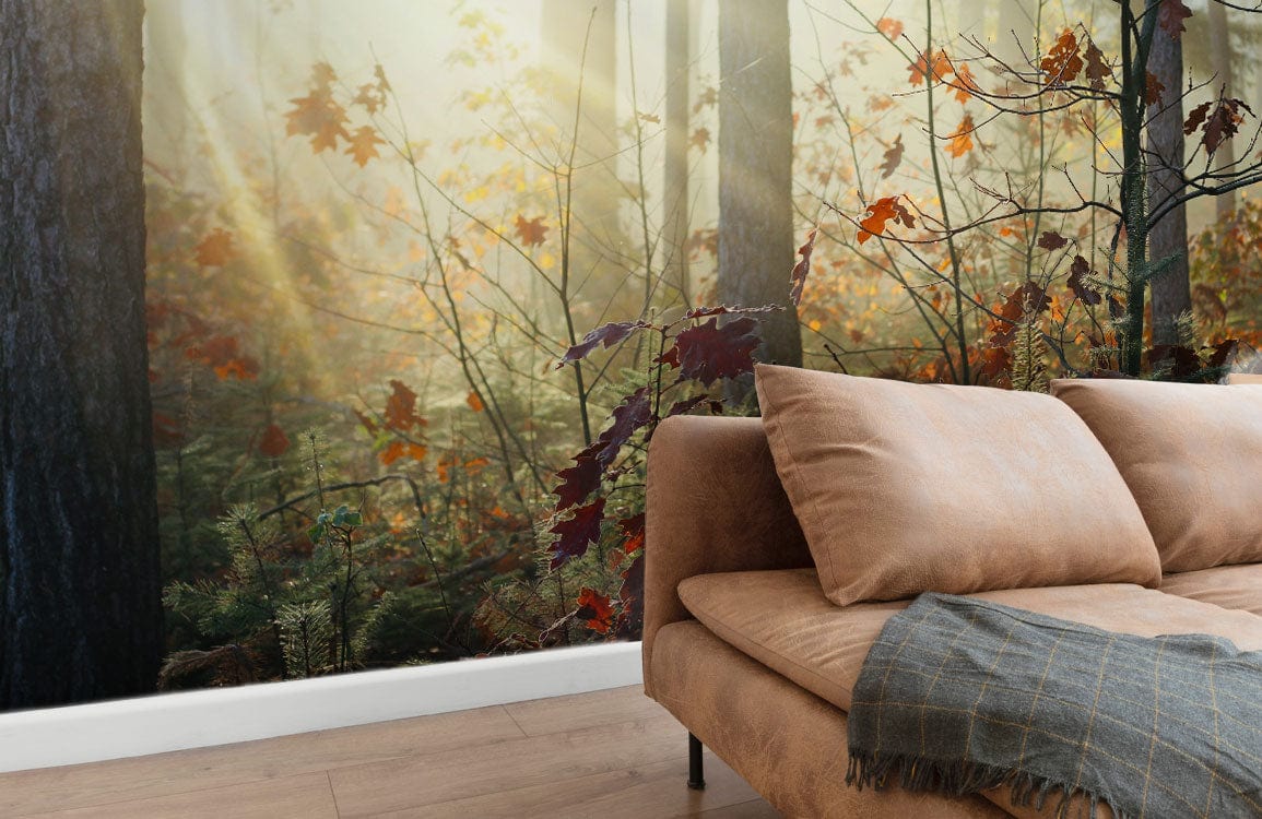 Rustic Autumn Forest Mural Wallpaper with sunlit trees, cosy tan sofa, wooden flooring. 