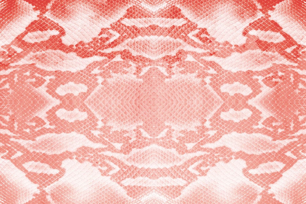Coral and White Snakeskin Pattern Luxury Contemporary Wallpaper Design