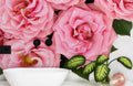 Roses in Baby Pink Wallpaper Mural