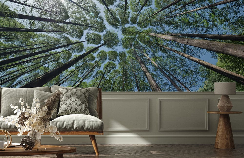 Sky in Forest Crevices Scenery Wallpaper Mural for the Decoration of the Hallway