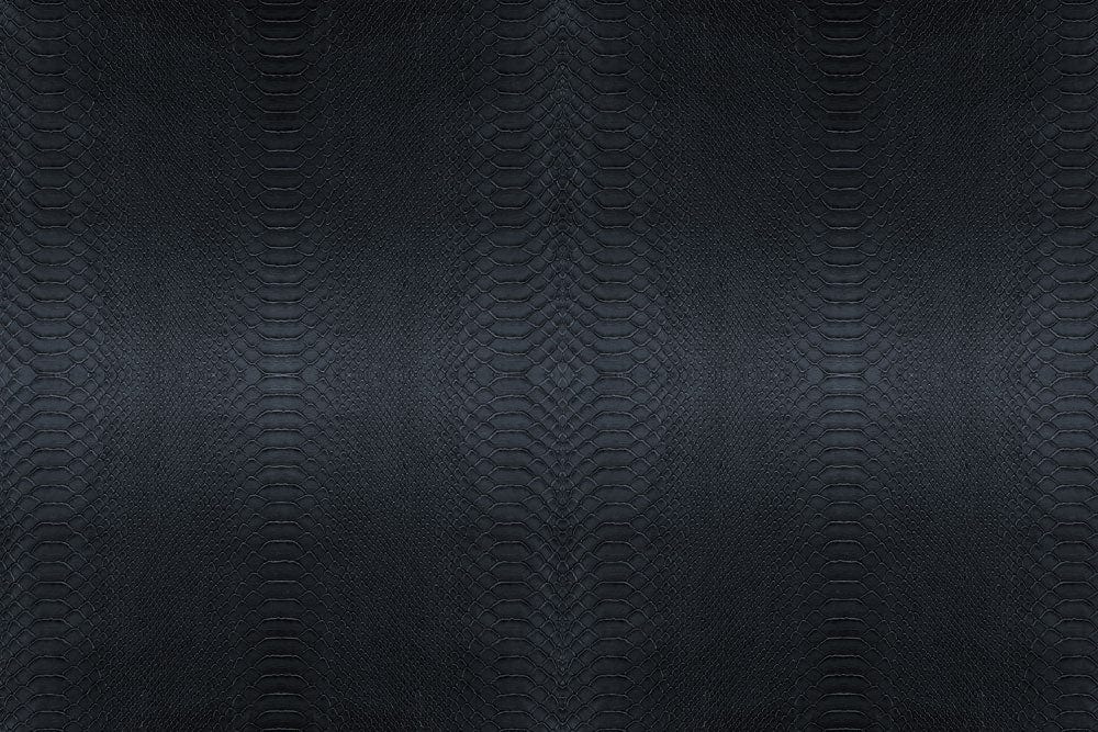 Dark Python Skin Texture Wall Art for the Home