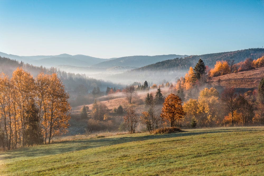 Autumn Morning Mist Scenic Landscape Mural Wallpaper - Nature Inspired Decor