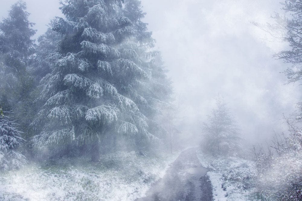 Mystical Winter Wonderland Scenic Mural Wallpaper in Serene Frosted Blue.