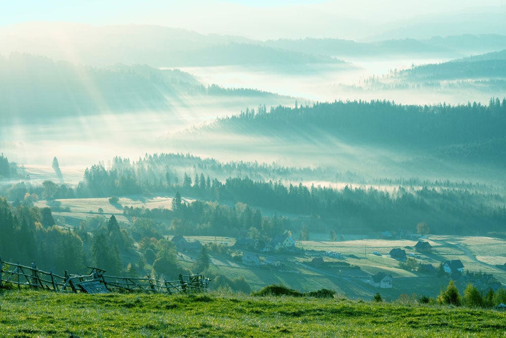 Serene Misty Forest Landscape Mural Wallpaper in Green Tones for Relaxed Ambience