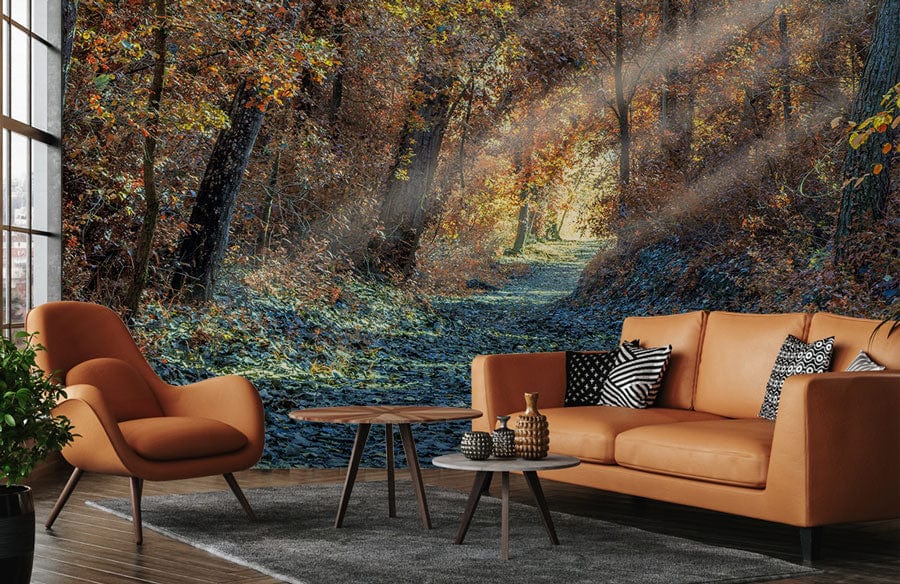 Enchanted Autumn Forest Path Mural in sunlit woodland setting; brown sofas, wood flooring, modern lounge.