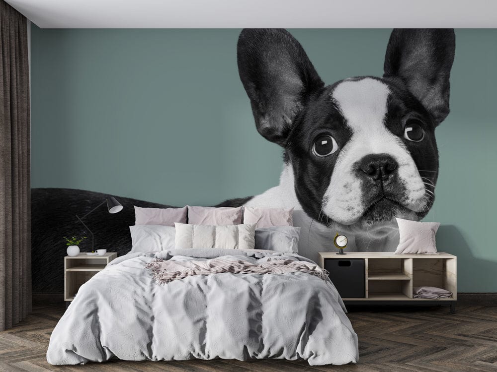 French Bulldog monochrome wallpaper in modern bedroom, green wall, chevron flooring, stylish bed.