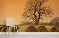 Autumn Meadow Wallpaper Mural