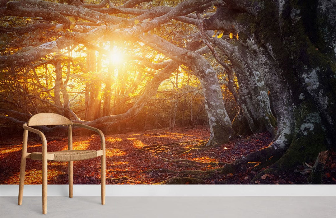 Enchanted Forest Mural Wallpaper in a sunlit room with wooden chair and grey flooring. Autumn theme.