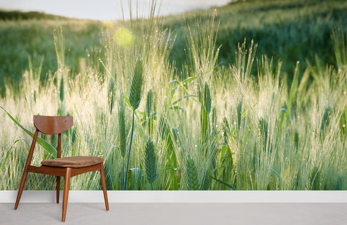 Brown wooden chair, serene green grass nature wallpaper mural, white wall, grey floor, calm room atmosphere.