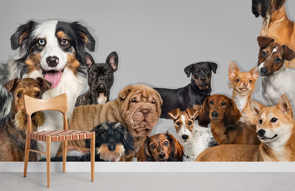 Charming Canine Paradise Grey Dog Mural, wooden chair, grey wall, modern room, realistic pet design.