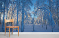 Kiruna before Sunset Wallpaper Mural