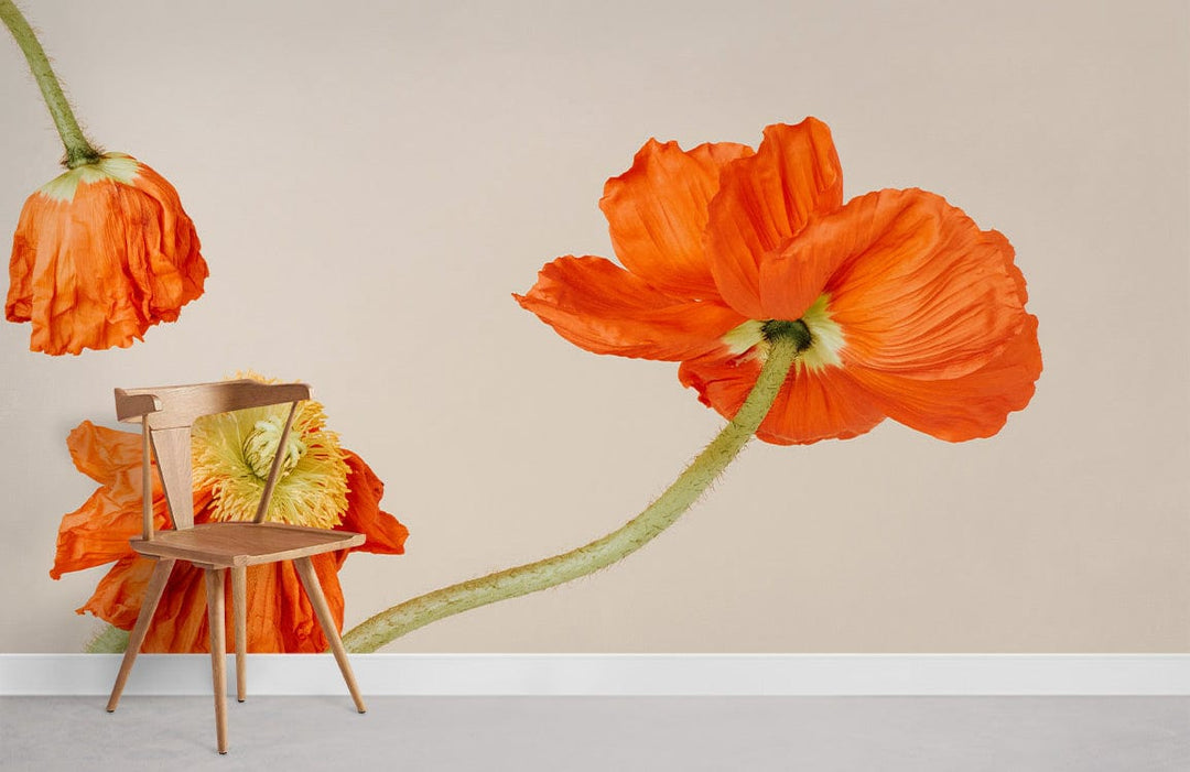Vibrant Orange Poppy Floral Wallpaper with wooden chair on minimal beige wall, grey flooring.