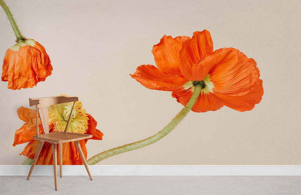 Orange Poppy Flowers Wallpaper Mural