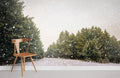 Forest Snowy Day Wallpaper Mural
