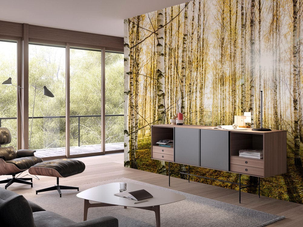 Golden Birch Forest Sunlit Autumn Mural Wallpaper in modern living room with wood flooring and grey sofa.
