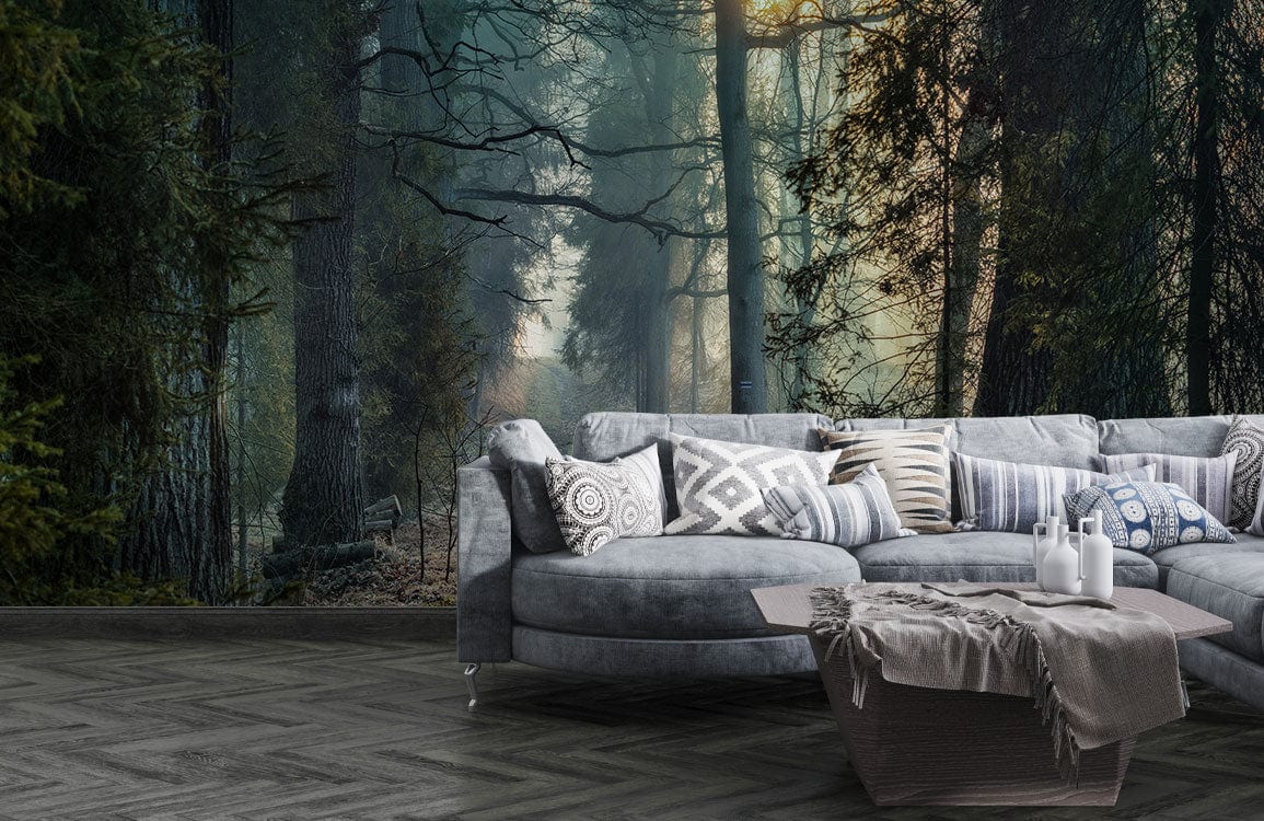 Misty Forest Trail Wallpaper Mural