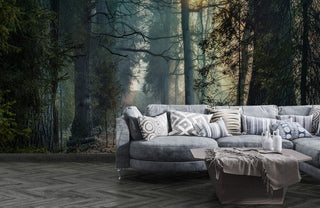 Misty Forest Trail Wallpaper Mural