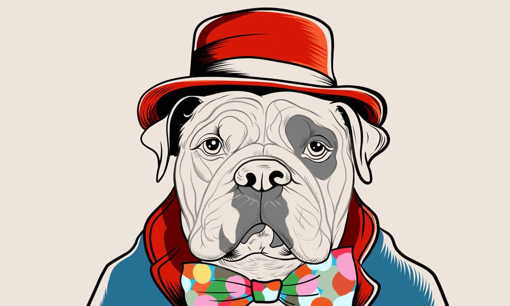 Colourful dog mural wallpaper featuring a dog in a red hat for modern interior Décor.