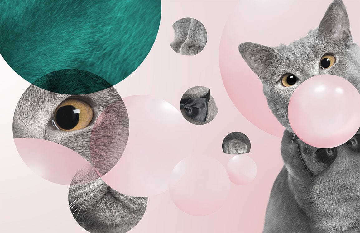 Playful Grey Cat Bubbles Contemporary Wallpaper with Pink and Teal Accents
