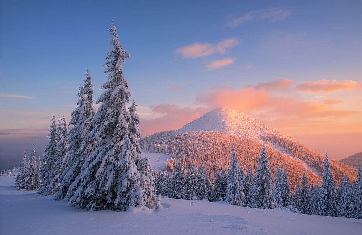 Winter Wonderland Mountain Landscape Mural Wallpaper with Snowy Pines and Sunset Glow