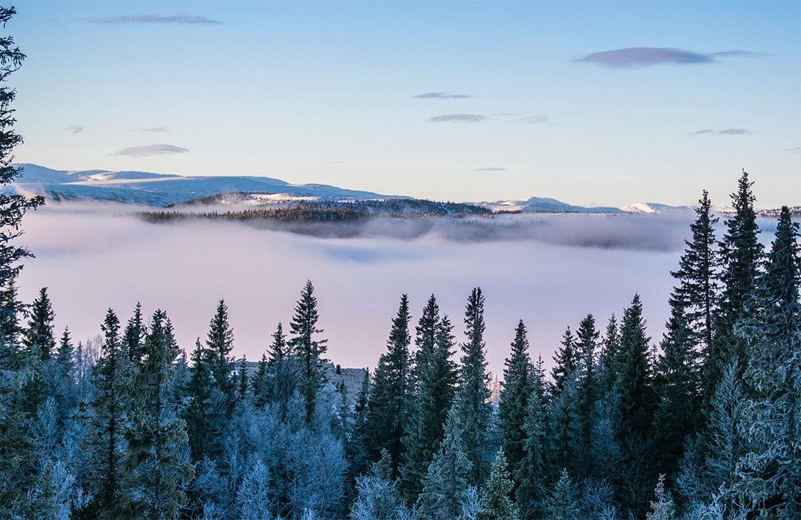 Mist-Covered Forest Scenic Mural Wallpaper with Frosty Mountain Landscape Design