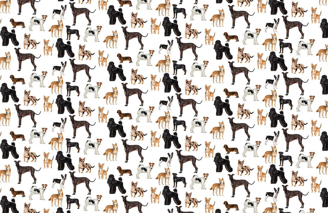 Charming Dog Breeds Patterned Wallpaper in Classic Multicolour for Pet Lovers
