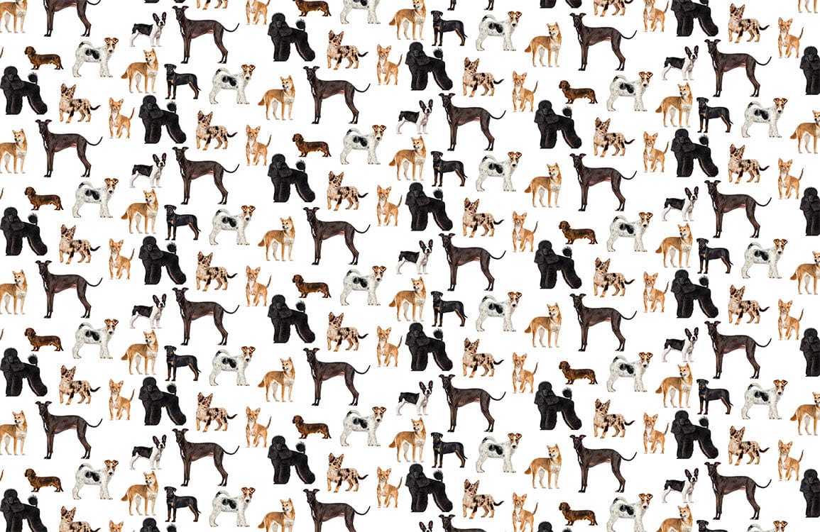 Charming Dog Breeds Patterned Wallpaper in Classic Multicolour for Pet Lovers