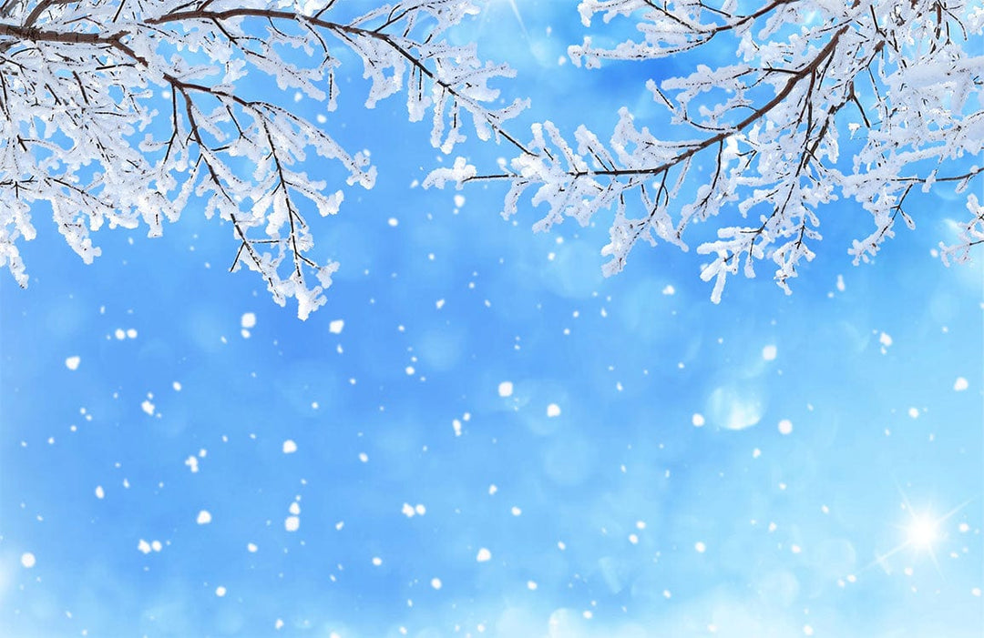 Winter Wonderland Snowy Branches Blue Sky Mural Wallpaper Décor