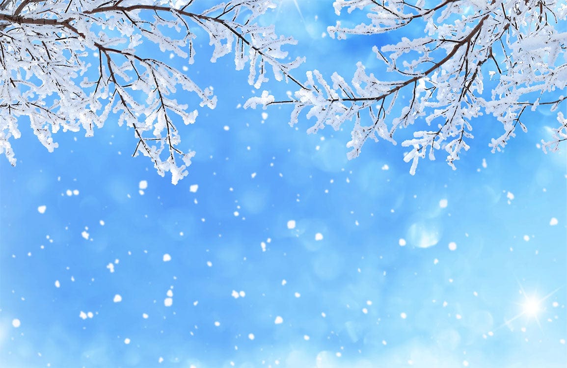 Winter Wonderland Snowy Branches Blue Sky Mural Wallpaper Décor