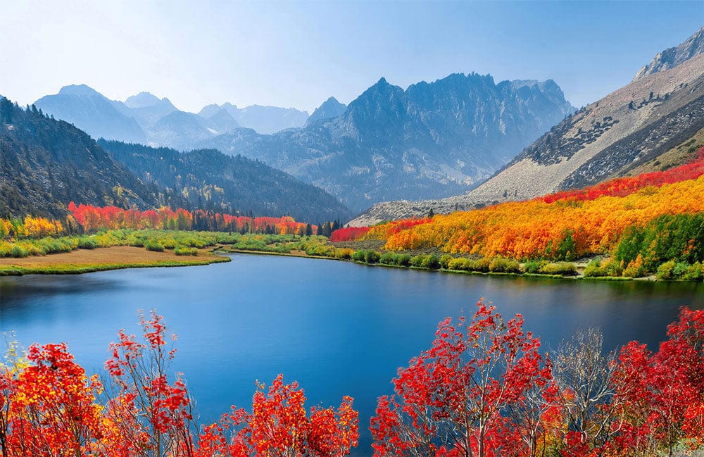 Vibrant Autumn Mountain Lake Landscape Mural Wallpaper in Rich Earthy Hues