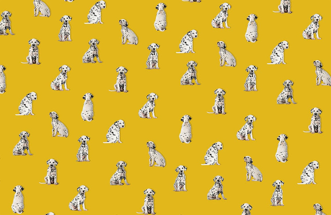 Playful Dalmatian Dogs Pattern Wallpaper in Vibrant Yellow for Charming Décor