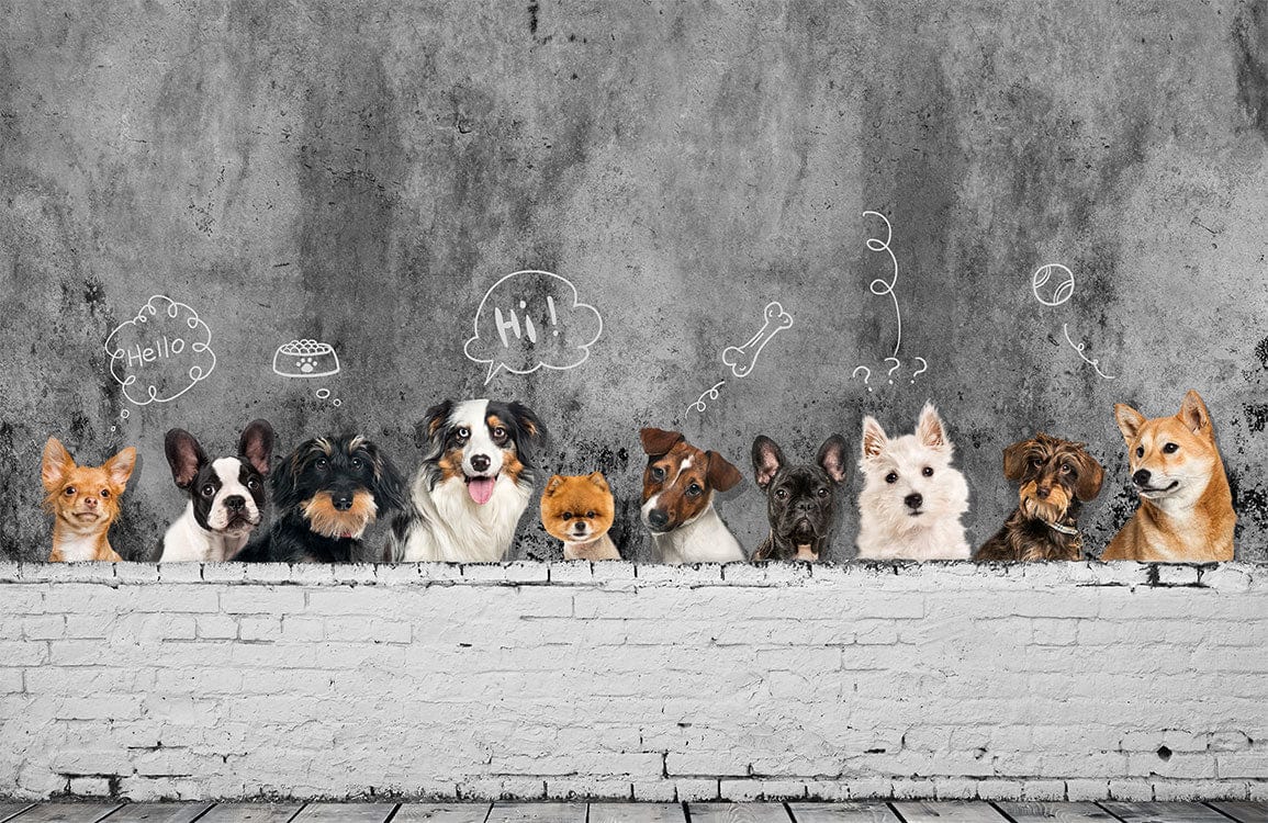 Charming Dogs Mural Wallpaper with Chalkboard Effect for Pet Lovers' Rooms