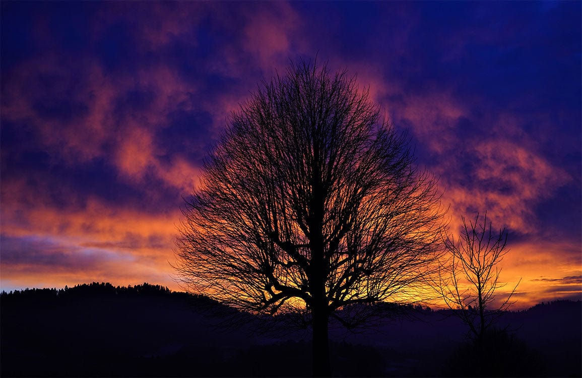 Vivid Twilight Silhouette Wallpaper - Purple and Orange Sunset Landscape Design