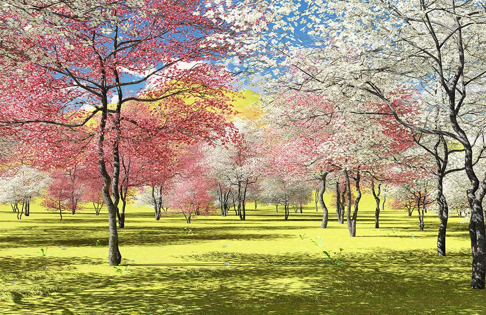 Spring Blossom Wonderland Mural Wallpaper - Pink, White, and Green Elegance
