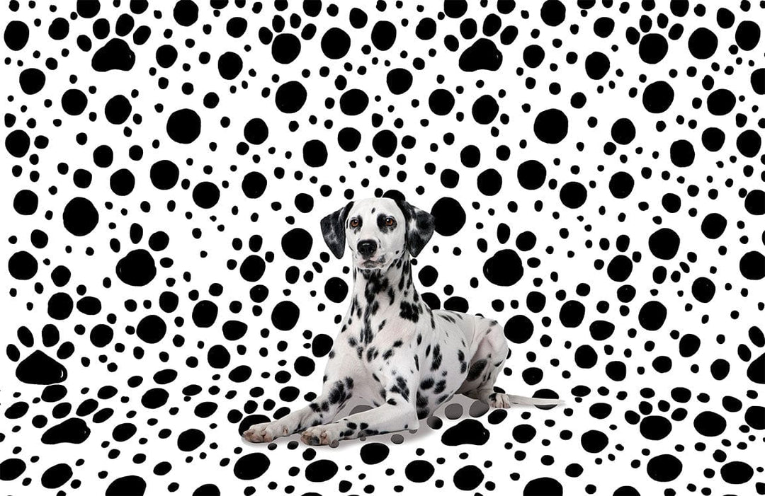 Monochrome Dalmatian Dot Patterned Wallpaper - Black and White Classic Style