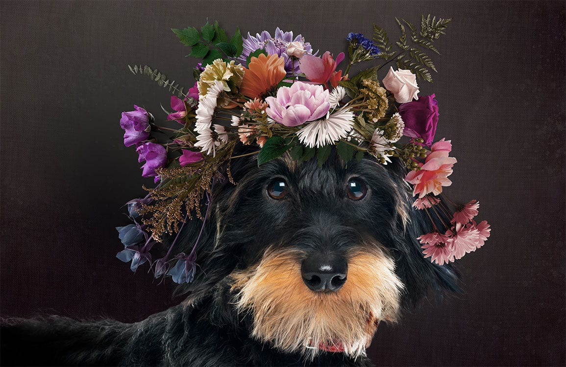 Whimsical Canine with Floral Crown: Black Rustic Mural Wallpaper Design