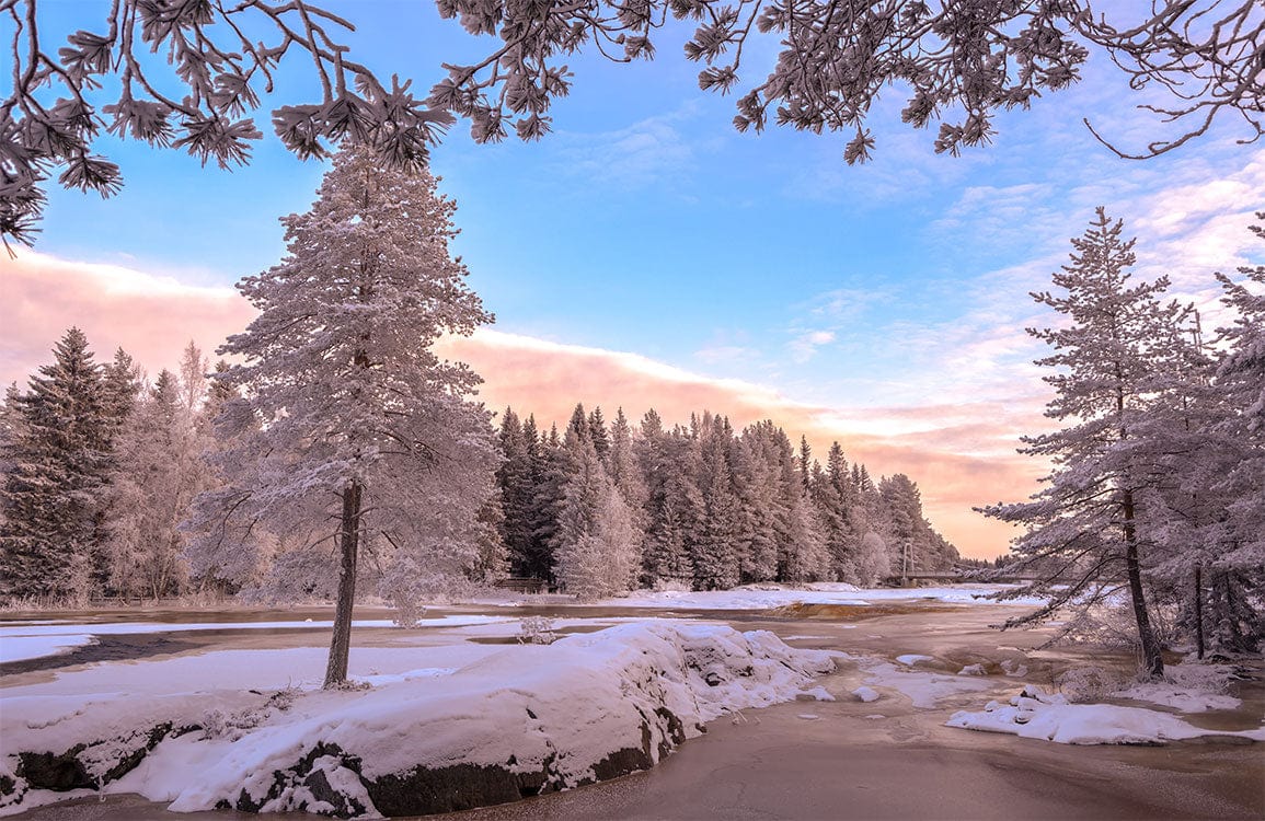 Enchanting Winter Wonderland Snowy Forest Scenic Mural Wallpaper in Serene Pastels