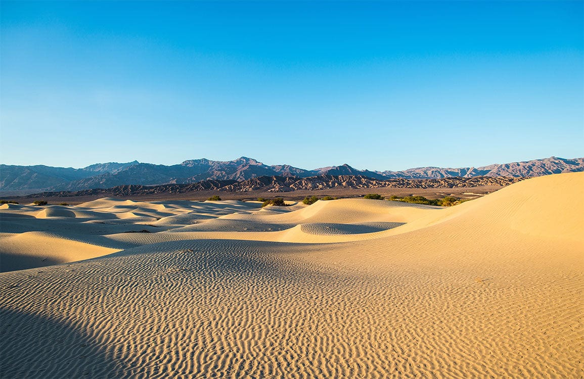 Desert Panorama Mural Wallpaper with Golden Dunes and Blue Sky Scenery