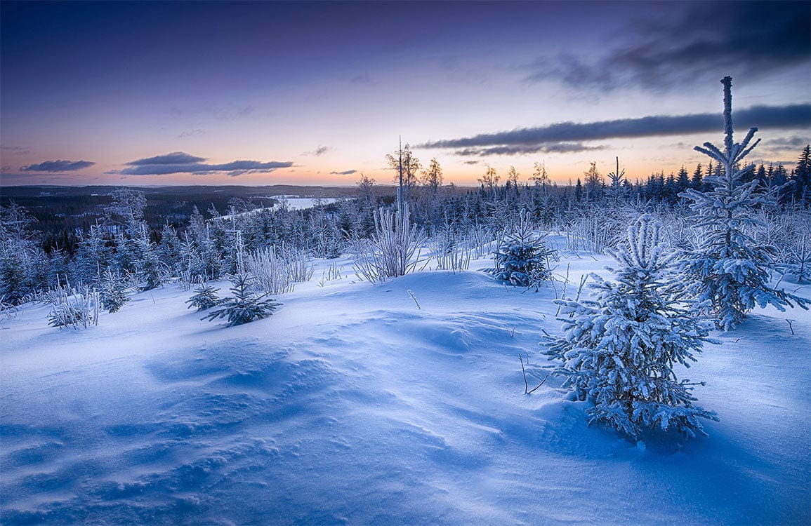 Majestic Winter Wonderland Landscape Mural Wallpaper in Icy Blue Tones