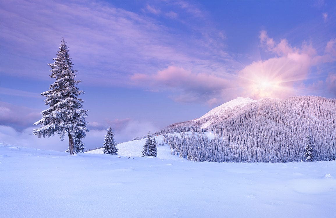 Tranquil Winter Dawn Mural: Serene Mountain Landscape in Lavender Hues