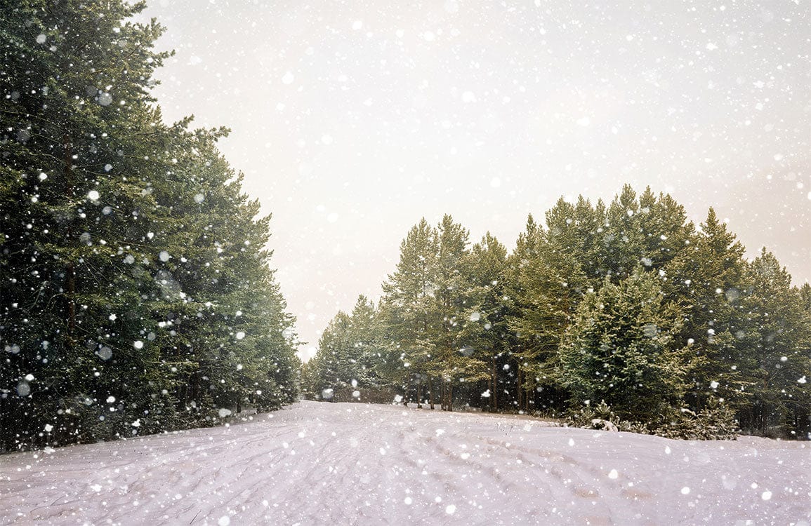 Tranquil Winter Forest Snowfall Landscape Mural Wallpaper in Serene Green