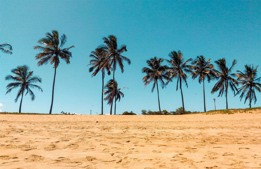 Tropical Beach Paradise Palm Trees Mural Wallpaper in Golden Sand Tones