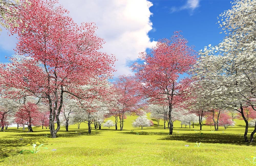 Springtime Blossom Mural Wallpaper with Pink and White Trees Design