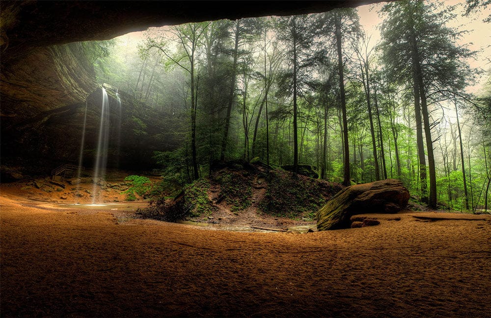 Serene Forest Waterfall Scenic Mural Wallpaper - Natural Green Tranquillity