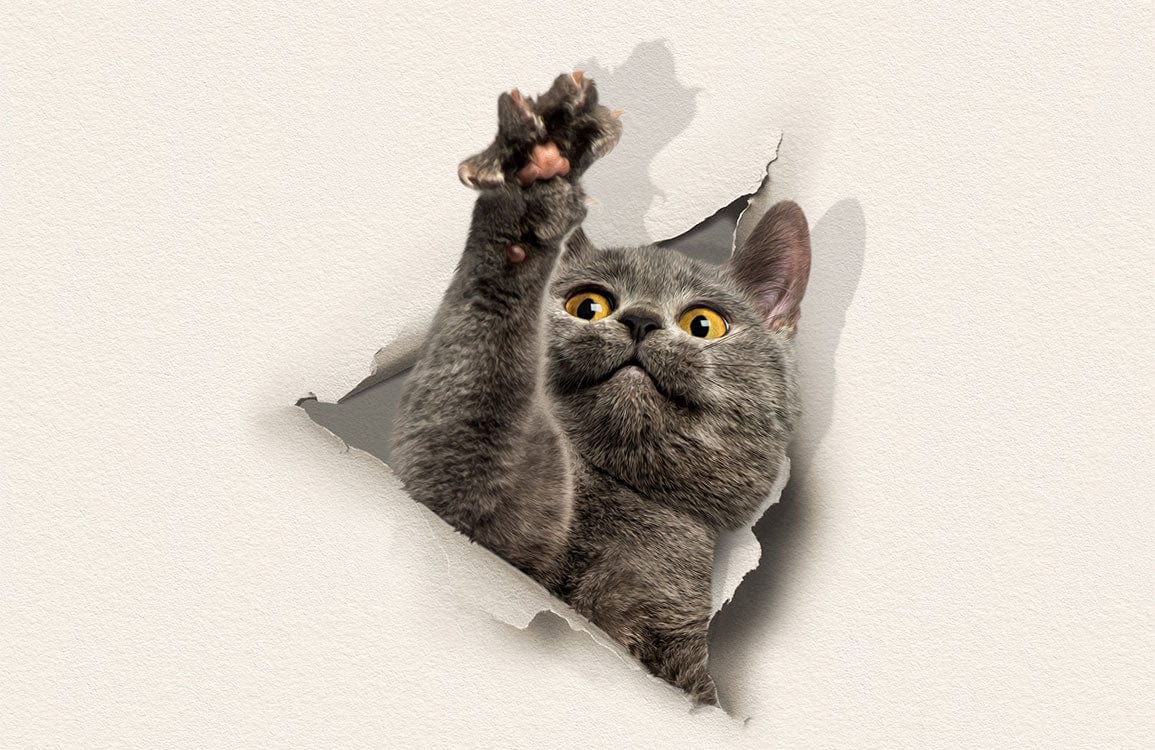Grey Cat Peek-a-Boo 3D Mural Wallpaper for Playful Interiors