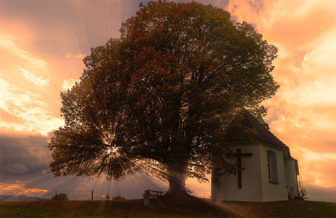 Tranquil Sunset Church and Tree Scene Mural Wallpaper - Autumn Glow