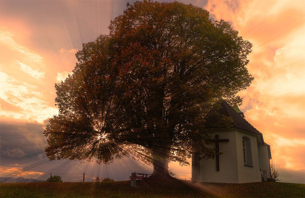 Tranquil Sunset Church and Tree Scene Mural Wallpaper - Autumn Glow